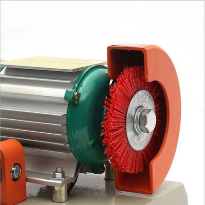 Defu 2AS Schlüsselcode-Replikationsmaschine Einkopf-Duplikationsschlüsselschneider für 220V/110V